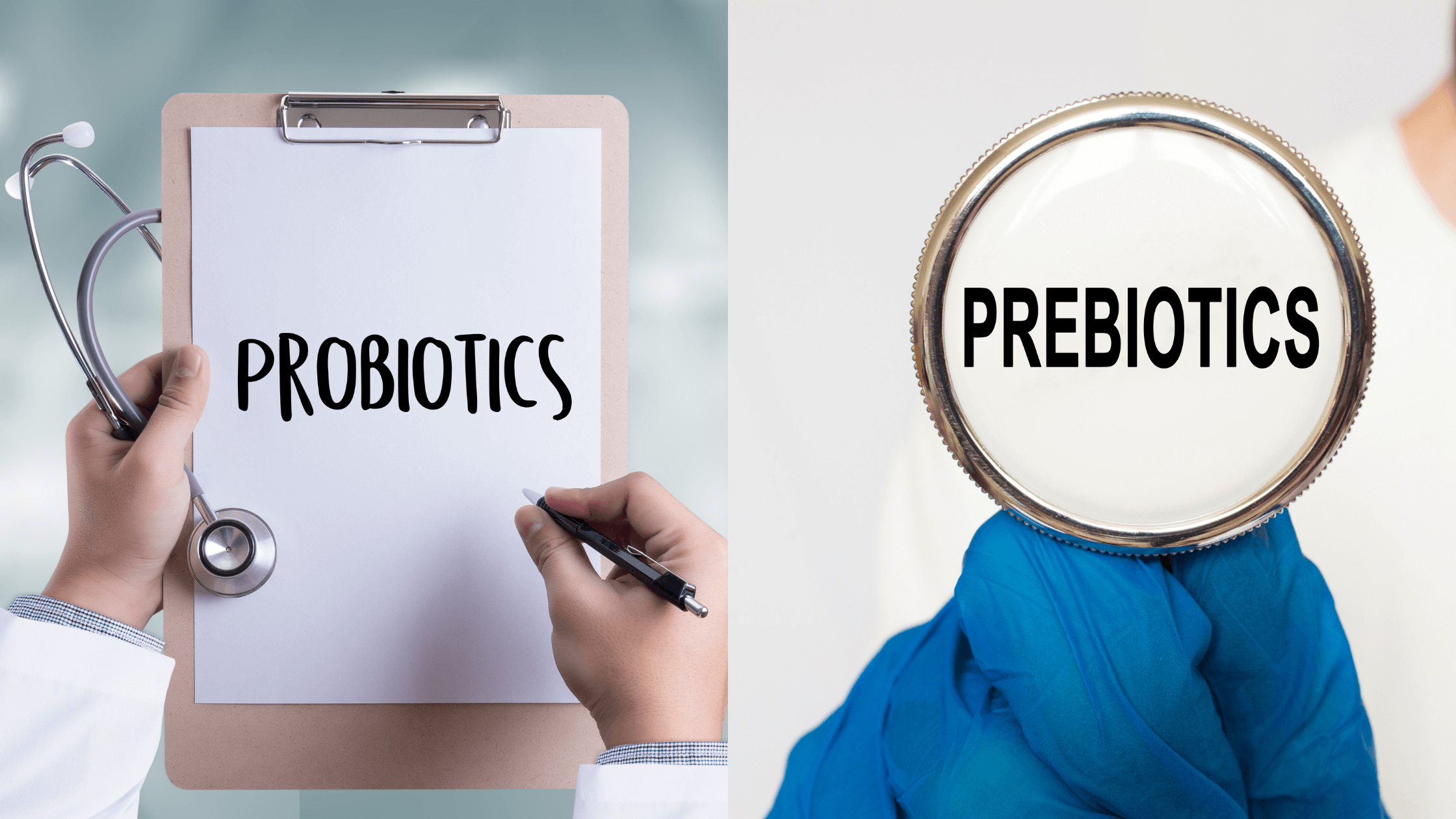 Probiotics Vs Prebiotics How To Easily Know Which Is Best For You